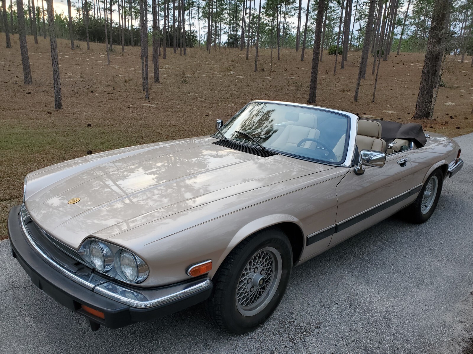 1991 Jaguar XJS CLASSIC COLLECTION - photo 13
