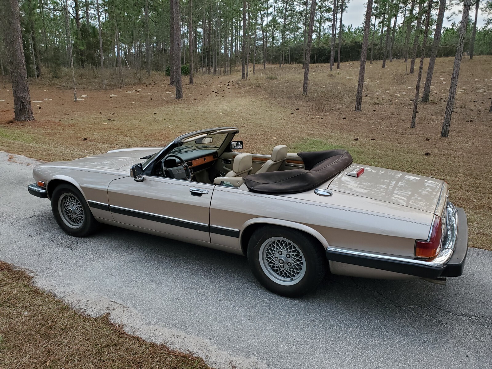 1991 Jaguar XJS CLASSIC COLLECTION - photo 8