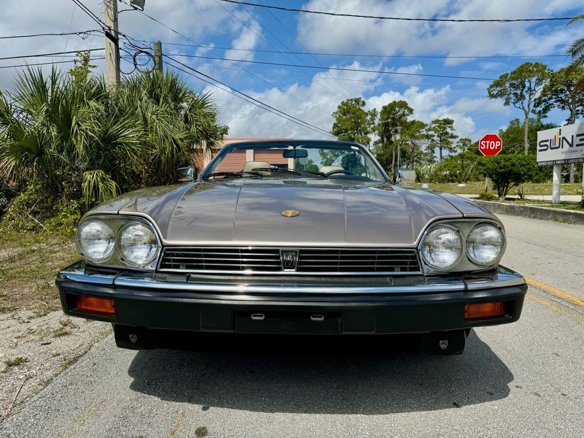 1991 Jaguar XJS - photo 12