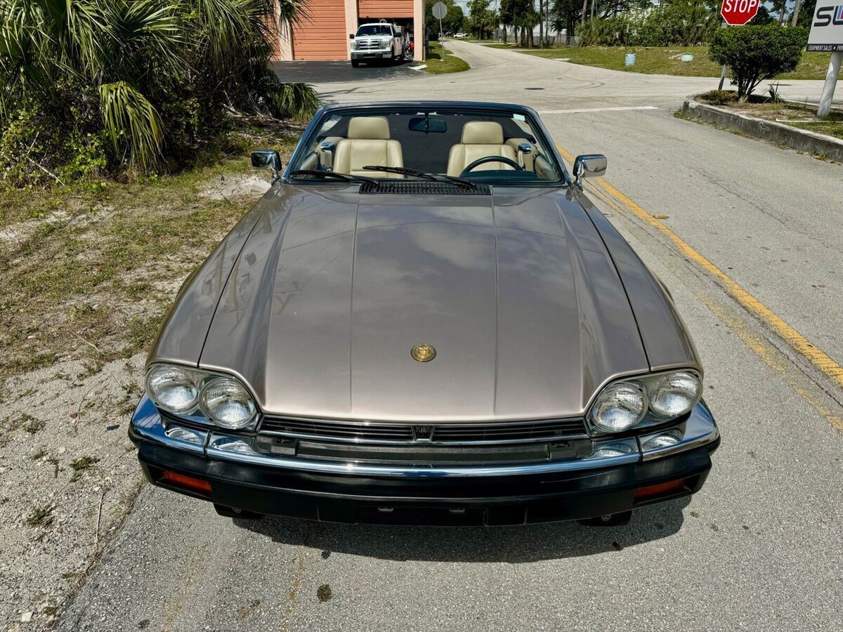 1991 Jaguar XJS - photo 13