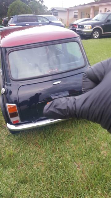 1991 Austin Austin - photo 10