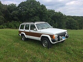 1991 Jeep Cherokee Briarwood - photo 2