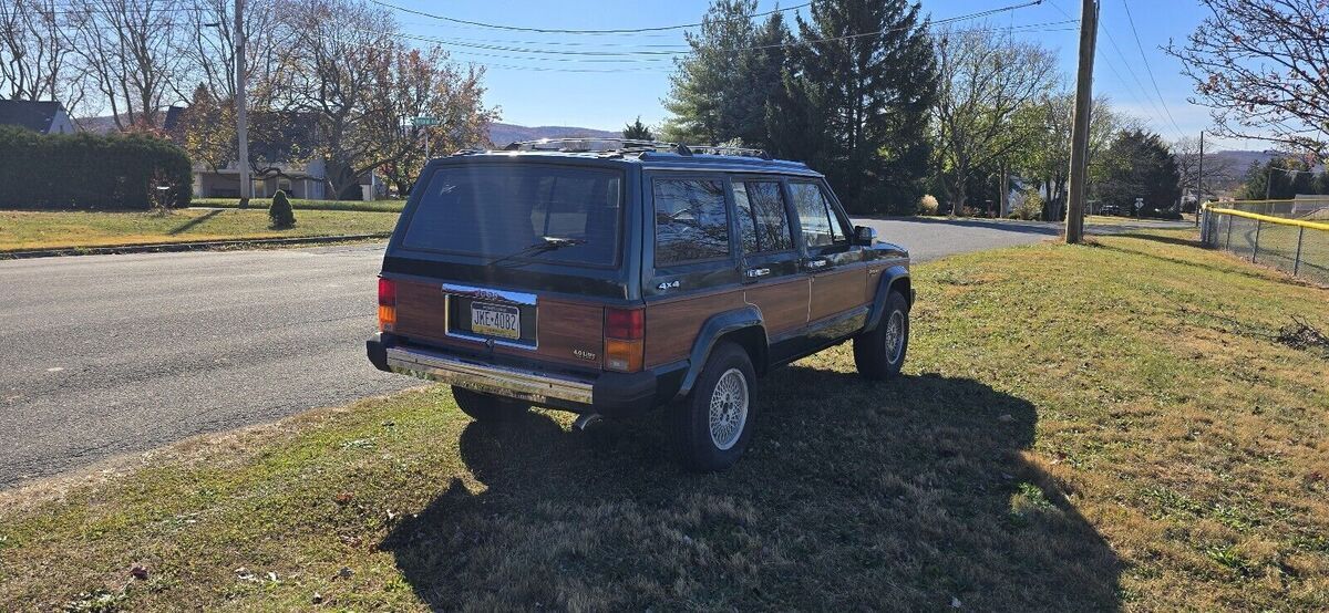 1991 Jeep Cherokee BRIARWOOD - photo 5