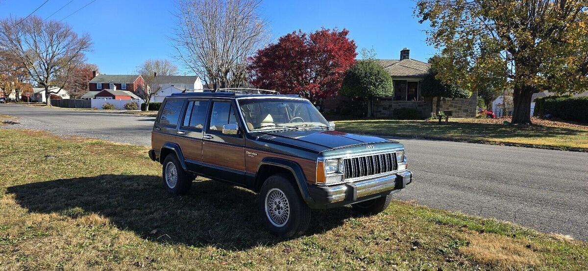 1991 Jeep Cherokee BRIARWOOD - photo 6