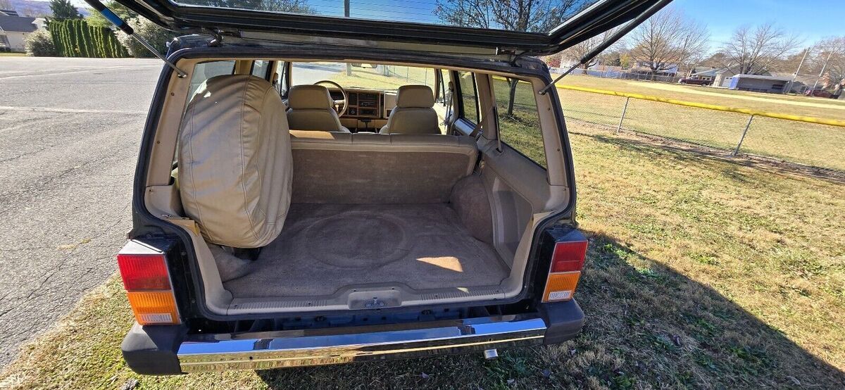 1991 Jeep Cherokee BRIARWOOD - photo 8