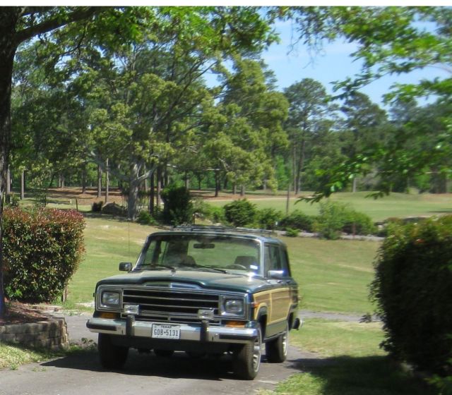 1991 Jeep Wagoneer - photo 4
