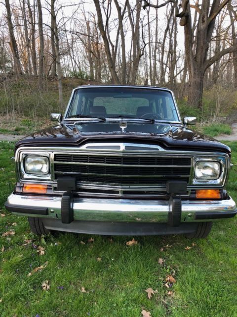 1991 Jeep Wagoneer Final Edition - photo 2