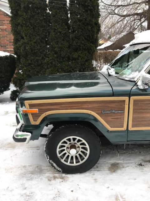 1991 Jeep Wagoneer Final Edition - photo 3