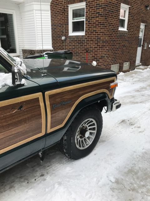 1991 Jeep Wagoneer Final Edition - photo 8