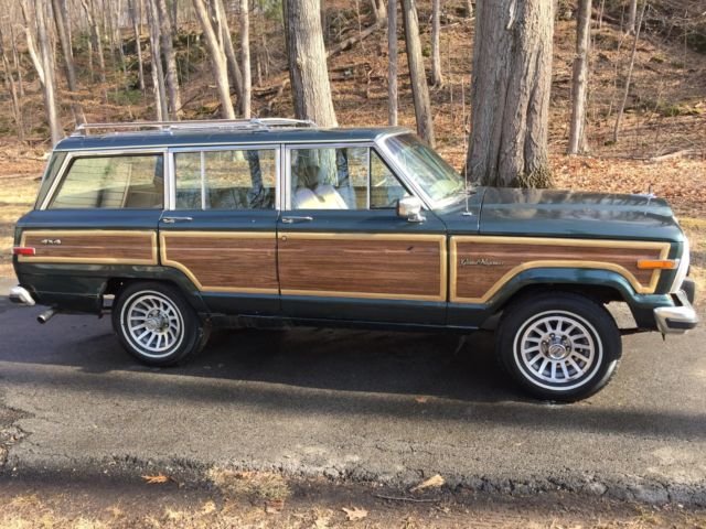 1991 Jeep Wagoneer - photo 2