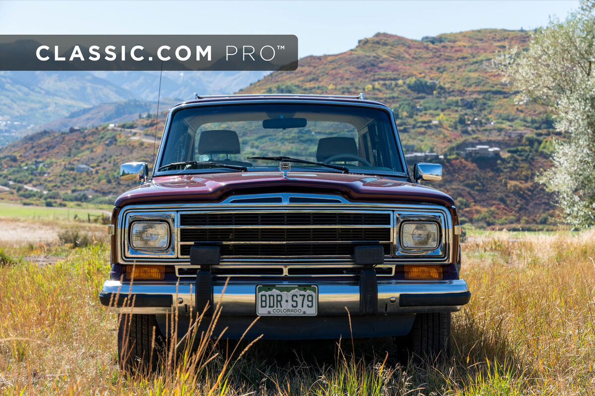 1991 Jeep Wagoneer - photo 2