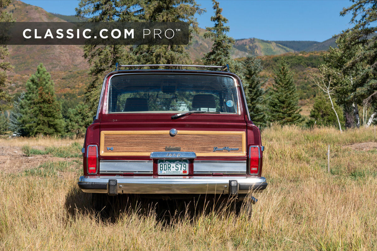 1991 Jeep Wagoneer - photo 6