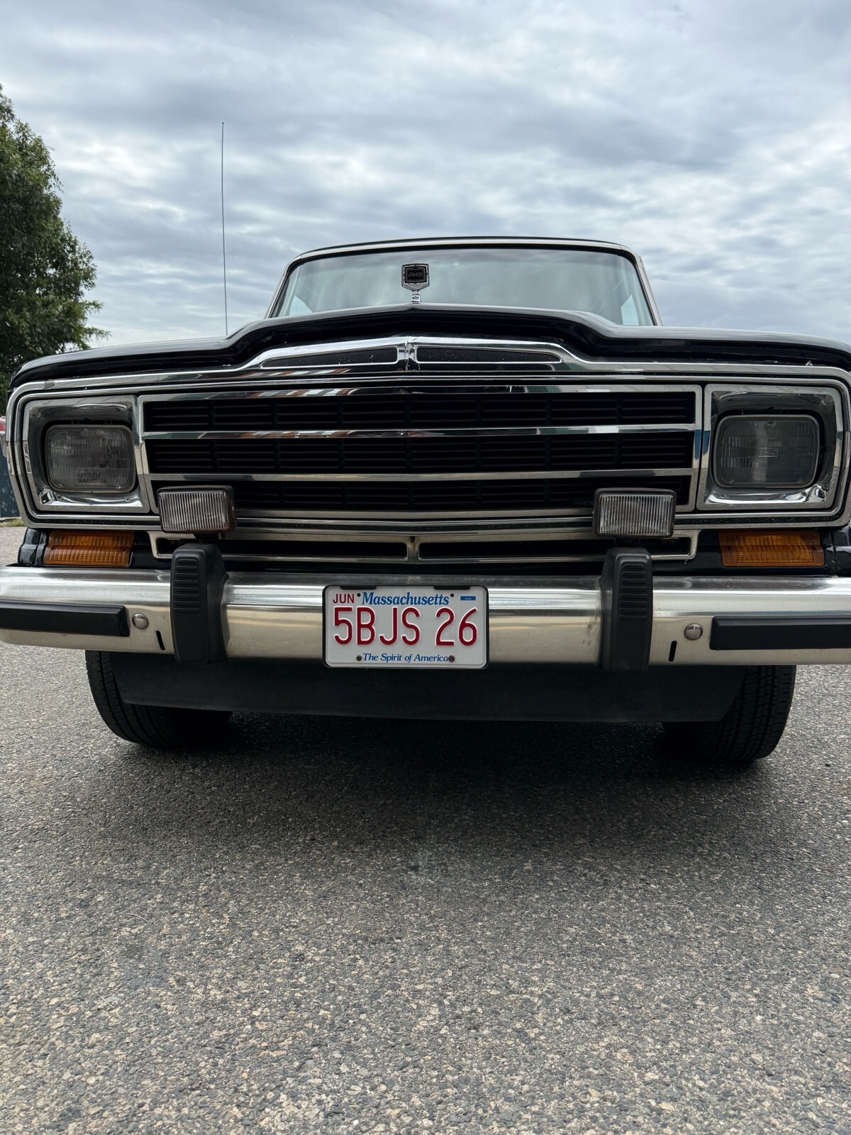1991 Jeep Wagoneer - photo 4