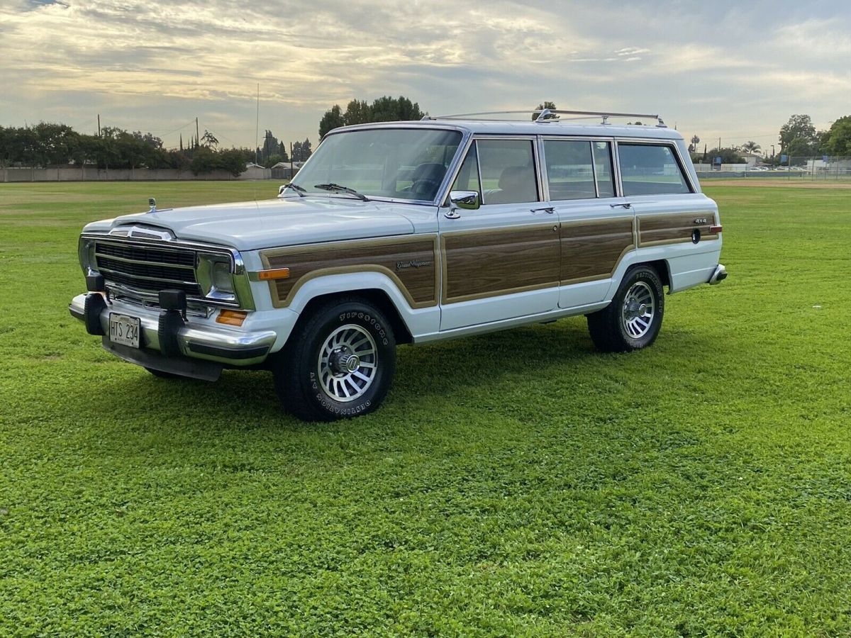 1991 Jeep Grand Wagoneer - photo 6
