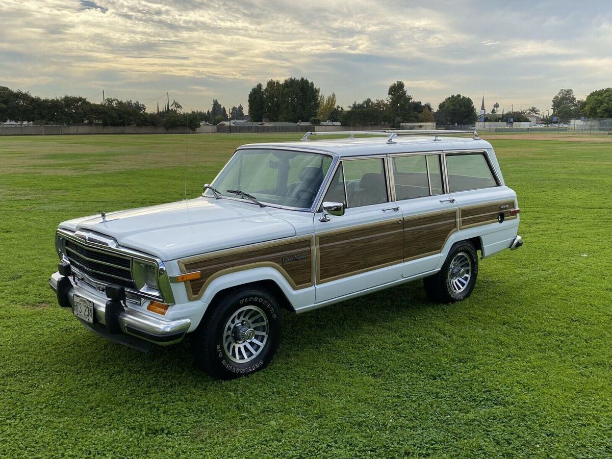 1991 Jeep Grand Wagoneer - photo 8