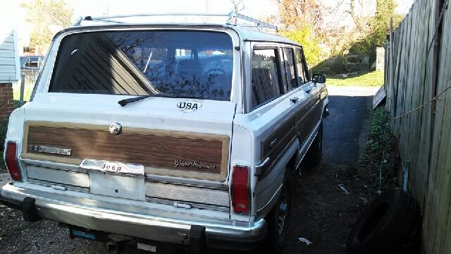 1991 Jeep Wagoneer Hybrid - photo 2