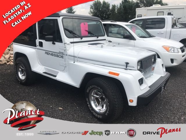 1991 Jeep Wrangler Renegade - photo 2