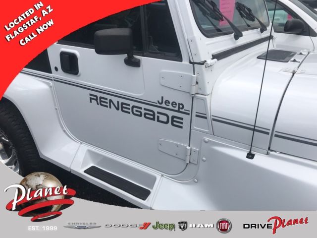 1991 Jeep Wrangler Renegade - photo 3