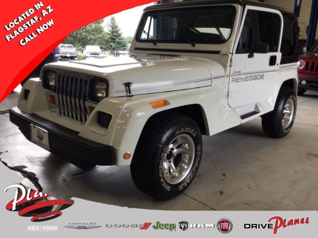 1991 Jeep Wrangler Renegade - photo 3