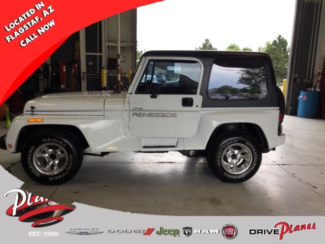 1991 Jeep Wrangler Renegade - photo 4