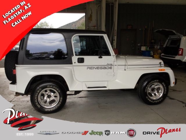 1991 Jeep Wrangler Renegade - photo 5