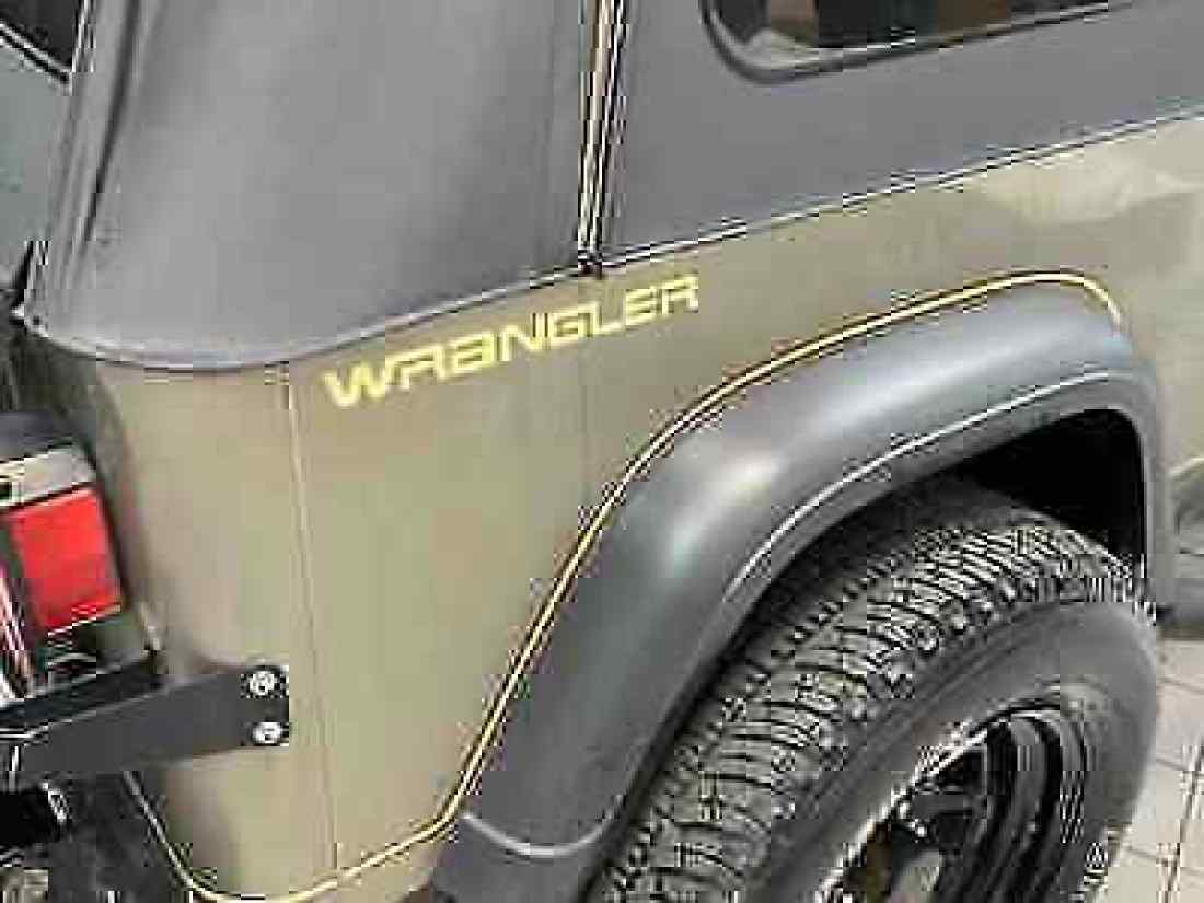 1991 Jeep Wrangler SAHARA - photo 8