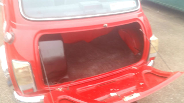 1991 Mini Classic Mini - photo 10