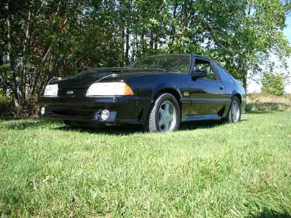 1991 Mustang GT Cobra, 408 engine, 5 spd, 4.10 ProGear 1991 Ford Mustang GT Cobra