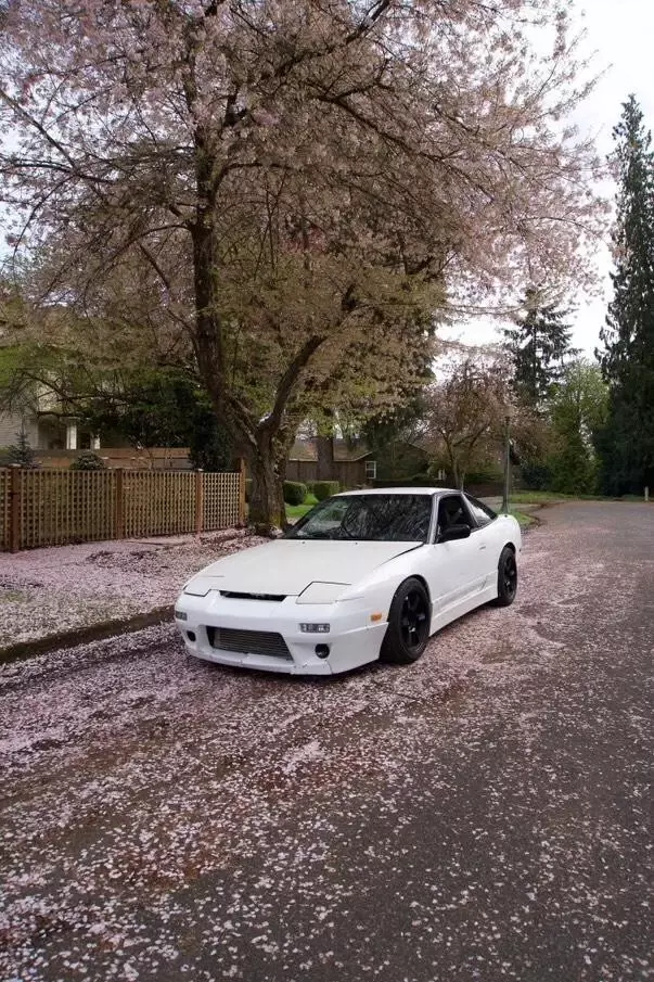 1991 Nissan 240SX Hatchback White basic 1991 Nissan 240SX basic