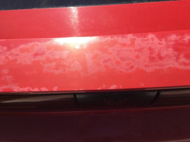 1991 Pontiac Firebird - photo 4