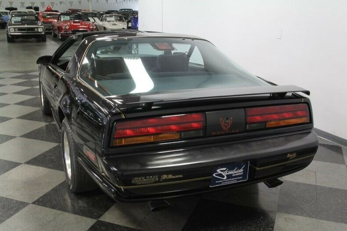 1991 Pontiac Firebird Bandit II - photo 11