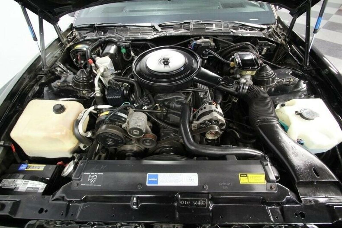 1991 Pontiac Firebird Bandit II - photo 4