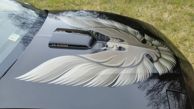 1991 Pontiac Firebird - photo 12