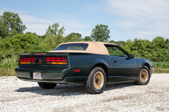 1991 Pontiac Firebird Convertible - photo 9