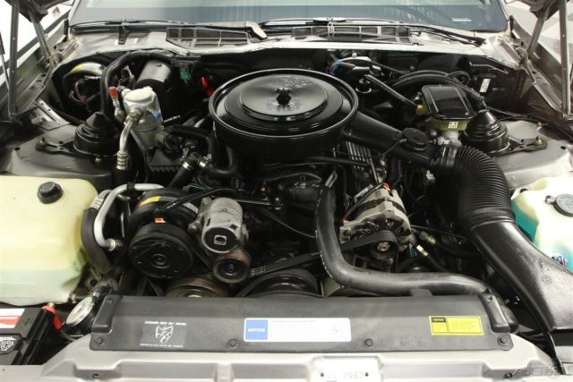 1991 Pontiac Firebird Convertible - photo 3