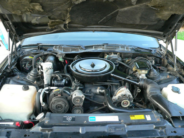 1991 Pontiac Firebird Convertible - photo 12