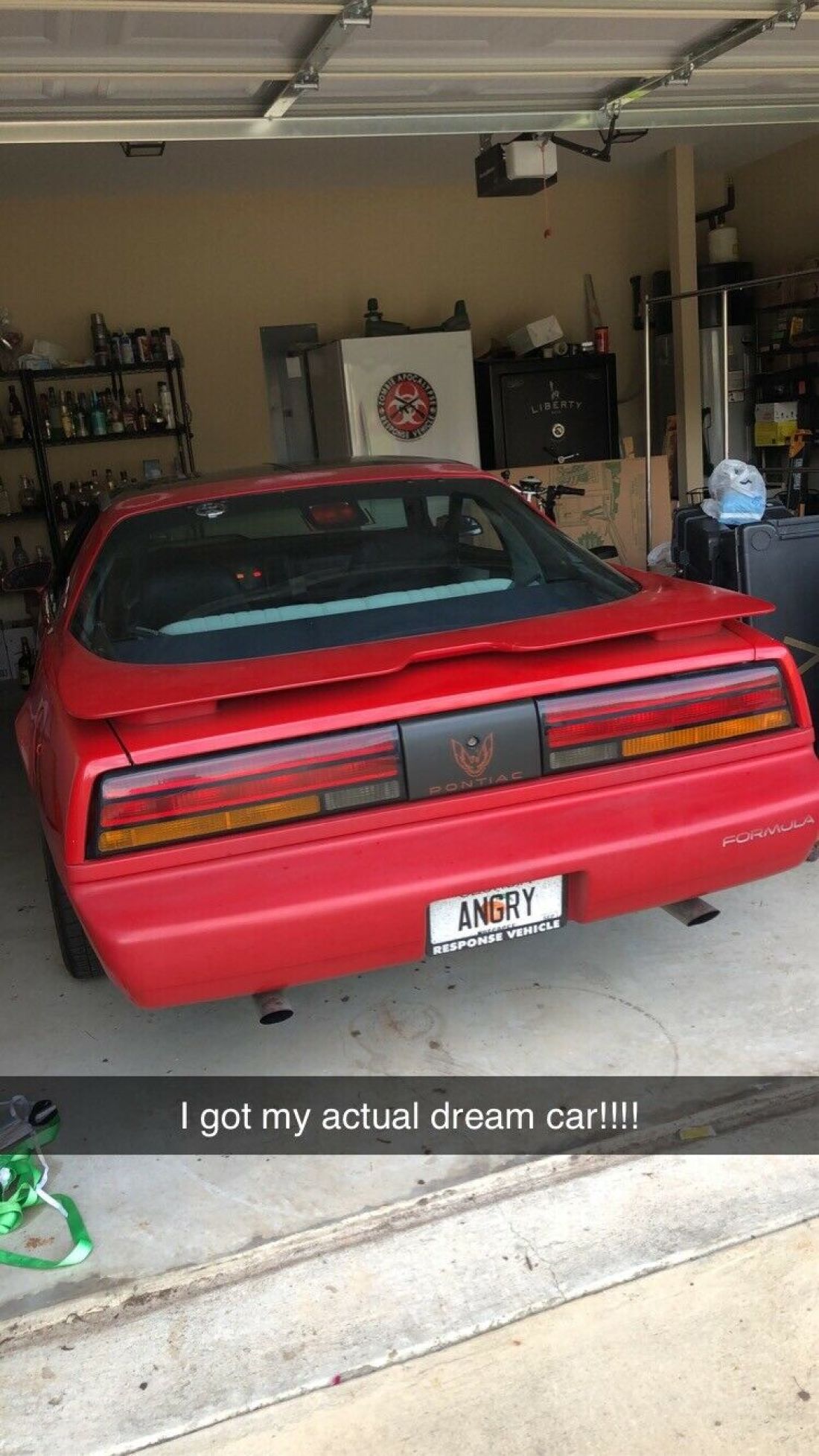 1991 Pontiac Firebird FORMULA - photo 6