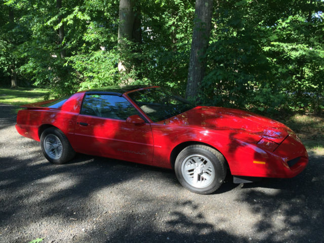 1991 Pontiac Firebird Formula 1LE - photo 4