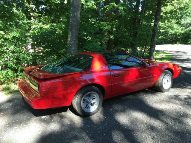 1991 Pontiac Firebird Formula 1LE - photo 5