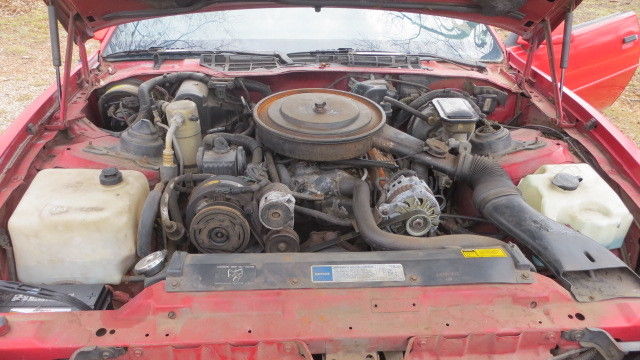 1991 Pontiac Firebird - photo 10