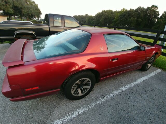 1991 PONTIAC FIREBIRD ONE OWNER FAMILY NEEDS RESTORED/PROJECT-RUNS/DRIVES 1991 Pontiac Firebird