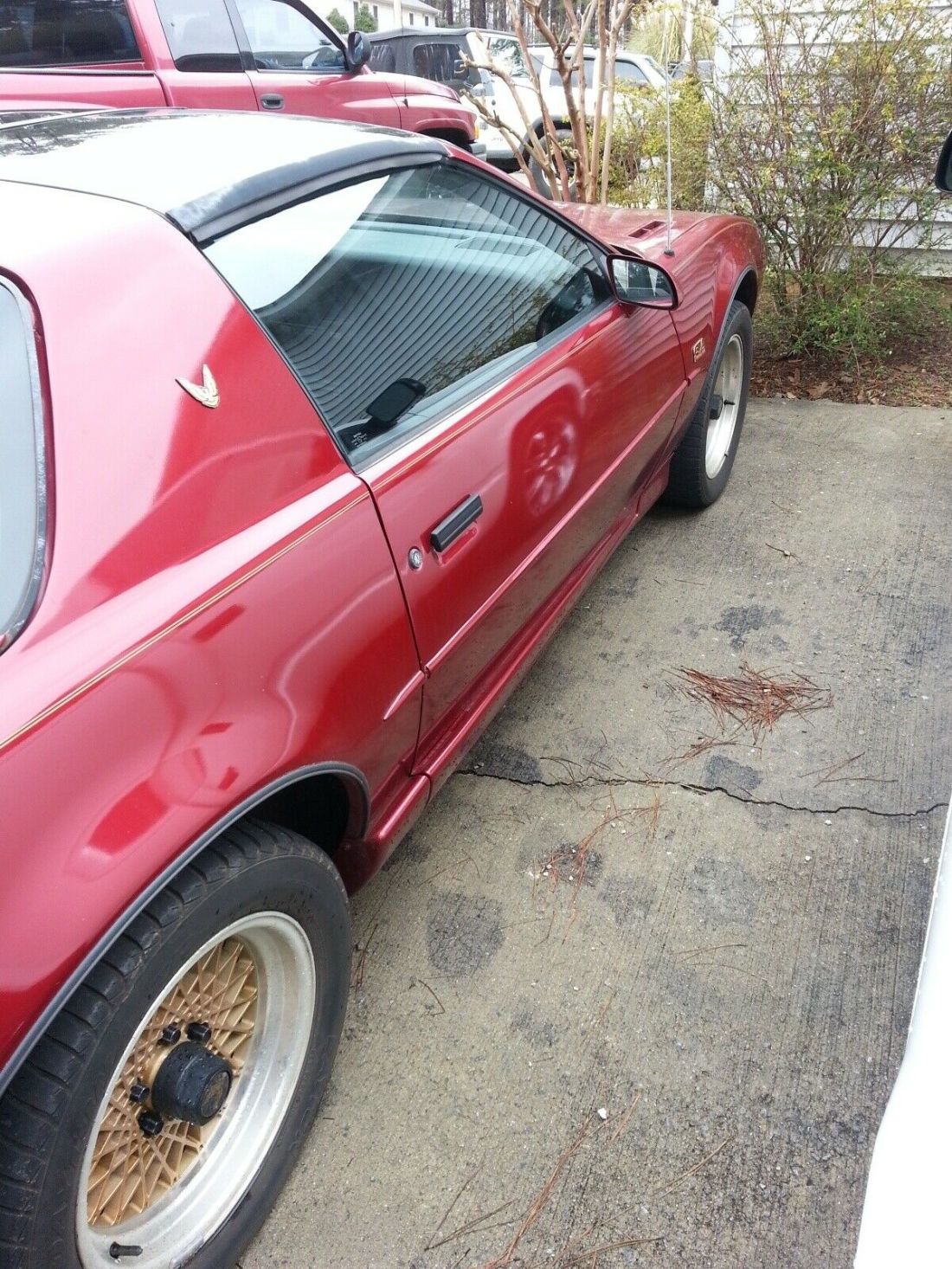 1991 Pontiac Firebird TRANS AM - photo 6