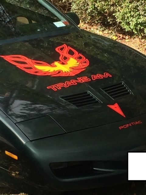 1991 Pontiac Firebird - photo 5