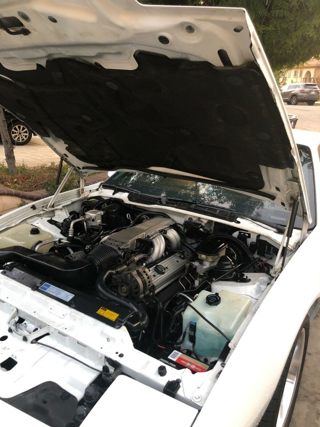 1991 Pontiac Trans Am - photo 3