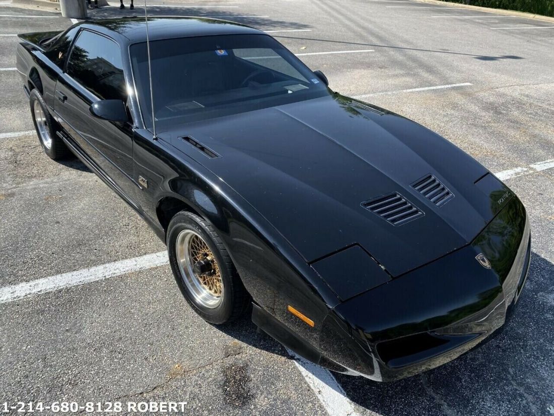 1991 Pontiac Firebird Trans Am GTA 2dr Hatchback - photo 3