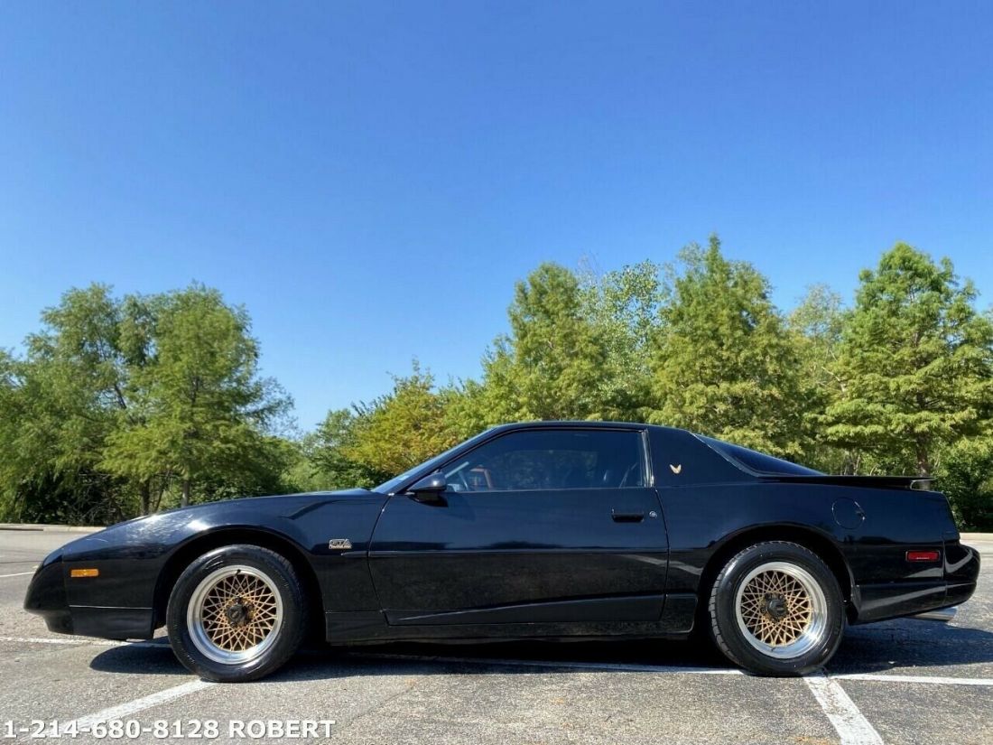 1991 Pontiac Firebird Trans Am GTA 2dr Hatchback - photo 9