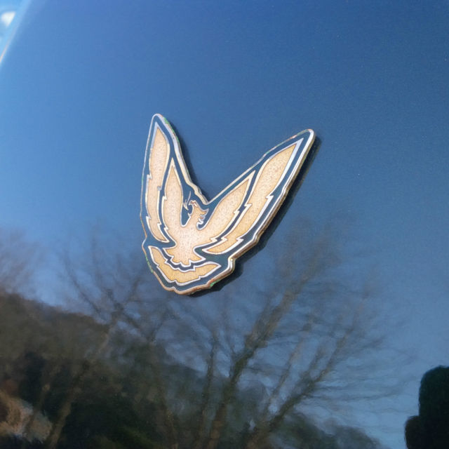 1991 Pontiac Trans Am GTA - photo 10