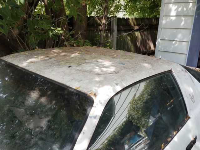 1991 Pontiac Other FORMULA - photo 6