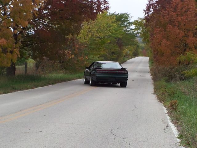 1991 Pontiac Trans Am - photo 9
