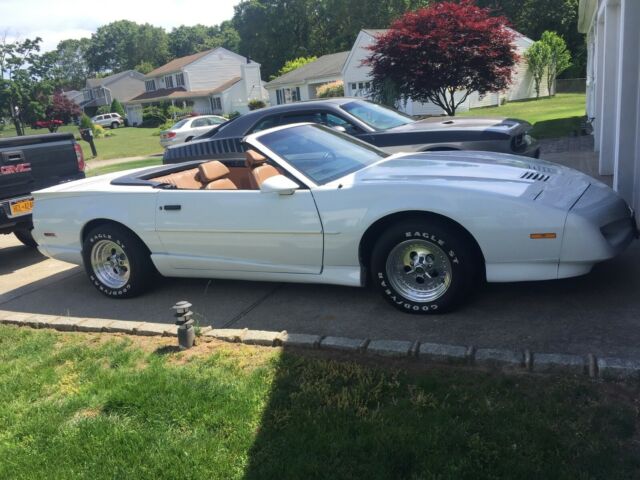 1991 Pontiac Trans Am convertible. 5.0 TPI auto Four wheel disc many upgrades 1991 Pontiac Firebird